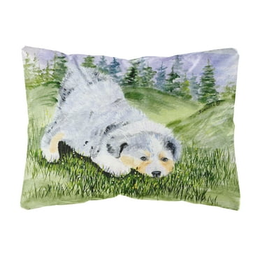 Carolines Treasures SS8015PW1216 Australian Shepherd Decorative Canvas Fabric Pillow, Large, Multicolor