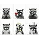 thumbnail image 1 of Lote de 6 lienzos decorativos de mapaches para baño, impermeables, sin marco, de 20 x 25 cm, en blanco y negro., 1 of 7