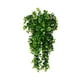 thumbnail image 1 of Simulación de Helecho Verde Enredadera Persa Enredadera Colgante Colgante Pared Verde Enredadera, 1 of 8
