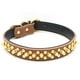 thumbnail image 1 of Collar de cuero para perros con púas doradas, para evitar que el perro sea atrapado por perros más grandes., 1 of 5