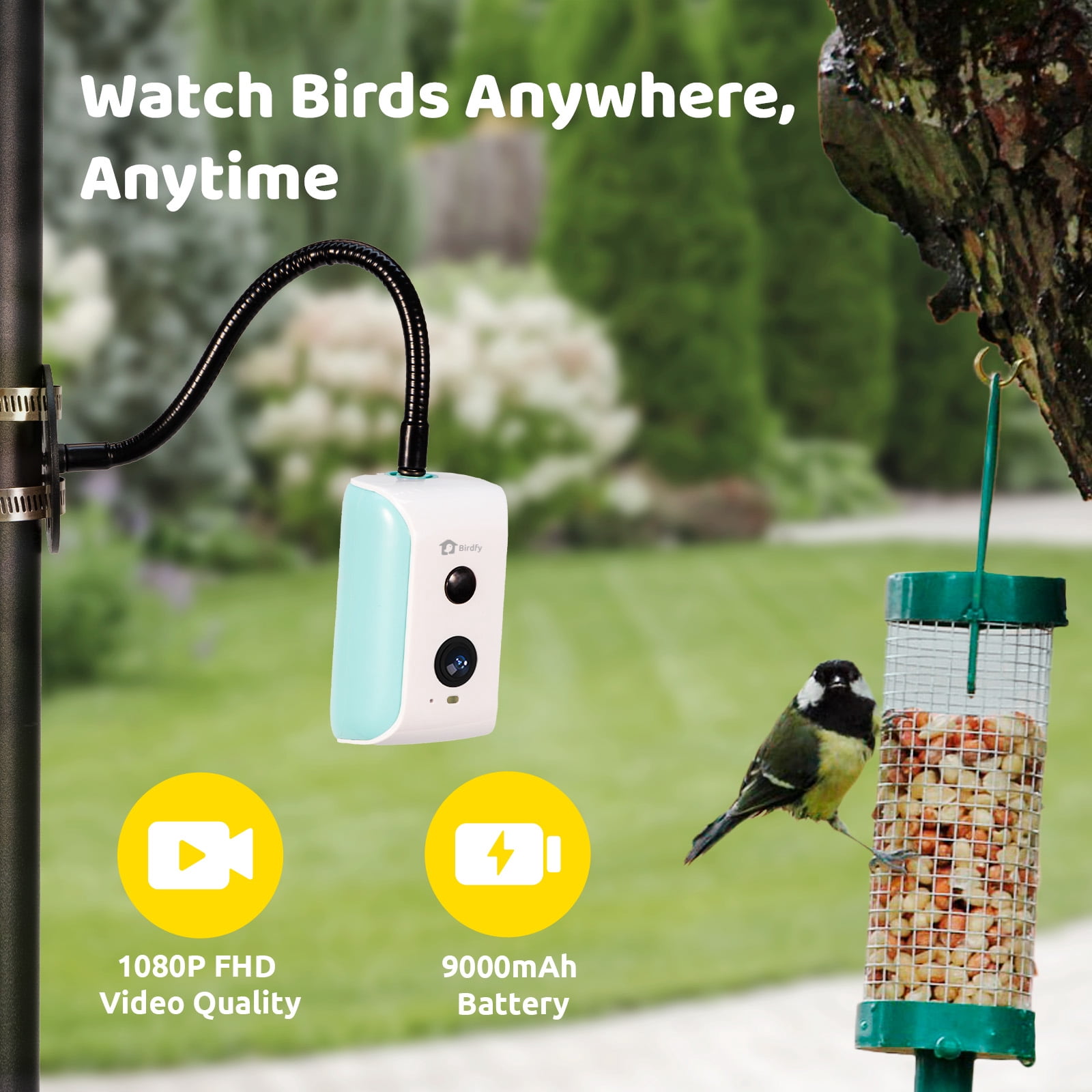 Birdfy Smart Bird Feeder Camera for Wild Bird Watching & Recording – Wall & Pole Mount Compatible, Cyan