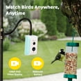 thumbnail image 3 of Birdfy Smart Bird Feeder Camera for Wild Bird Watching & Recording – Wall & Pole Mount Compatible, Cyan, 3 of 7