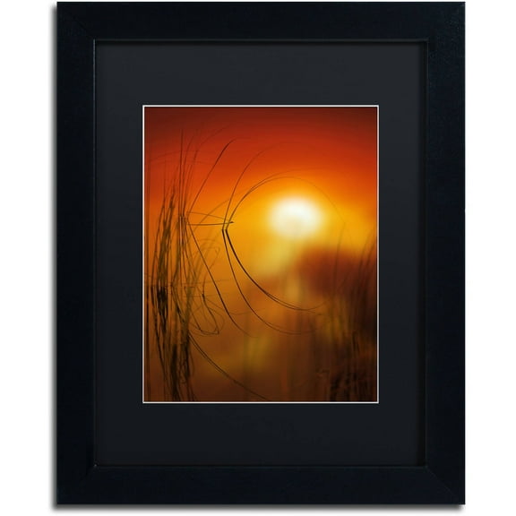 Trademark Fine Art "Nature Time Machine" Canvas Art by Philippe Sainte-Laudy Black Matte, Black Frame