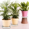 thumbnail image 5 of Travelwant Bottom Watering Plant Pots, Plastic Self Watering Planters with Drainage Holes Saucers Reservoirs for Indoor Outdoor Windowsill Garden Flower Plants, 5 of 6