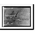 thumbnail image 2 of Historic Framed Print, Cabin & garden of A.A. Cobb, Matanuska, 17-7/8" x 21-7/8", 2 of 9