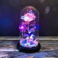 thumbnail image 3 of LED Lamp Glass Cover Rose Flower Micro Landscape Decorative Light Christmas Gift, 3 of 8