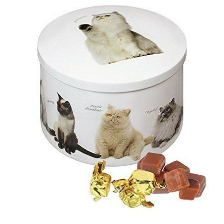 Chocolate Vanilla Fudge - Gardiners Of Scotland Cat Tin filled with Luxury Traditional Scottish Vanilla Fudge, 7 Ounce