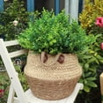 thumbnail image 6 of SHZHHFKJCX Amazon‘s Top Picks for Adding Elegance and Color to Your Living Space. Make a Stylish Statement with These Vibrant Home Decor Items. Infuse your Home with Personality and Style, 6 of 7