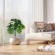 thumbnail image 4 of 30 Inch Simulation Plants Decorative Potted Plants Office Living Room Desktop Indoor Bonsais Ornaments Bionics Fake Flowers Greenerys Excluding Flower Pots, 4 of 6