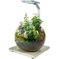 thumbnail image 6 of Penn-Plax Eco-Sphere Fishbowl and LED Light Kit – 1.1 Gallon, 6 of 7