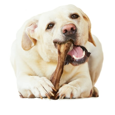 UPC: 0018214834786 | Nylabone Healthy Edibles Wild Bison Large Dog Treat Bone