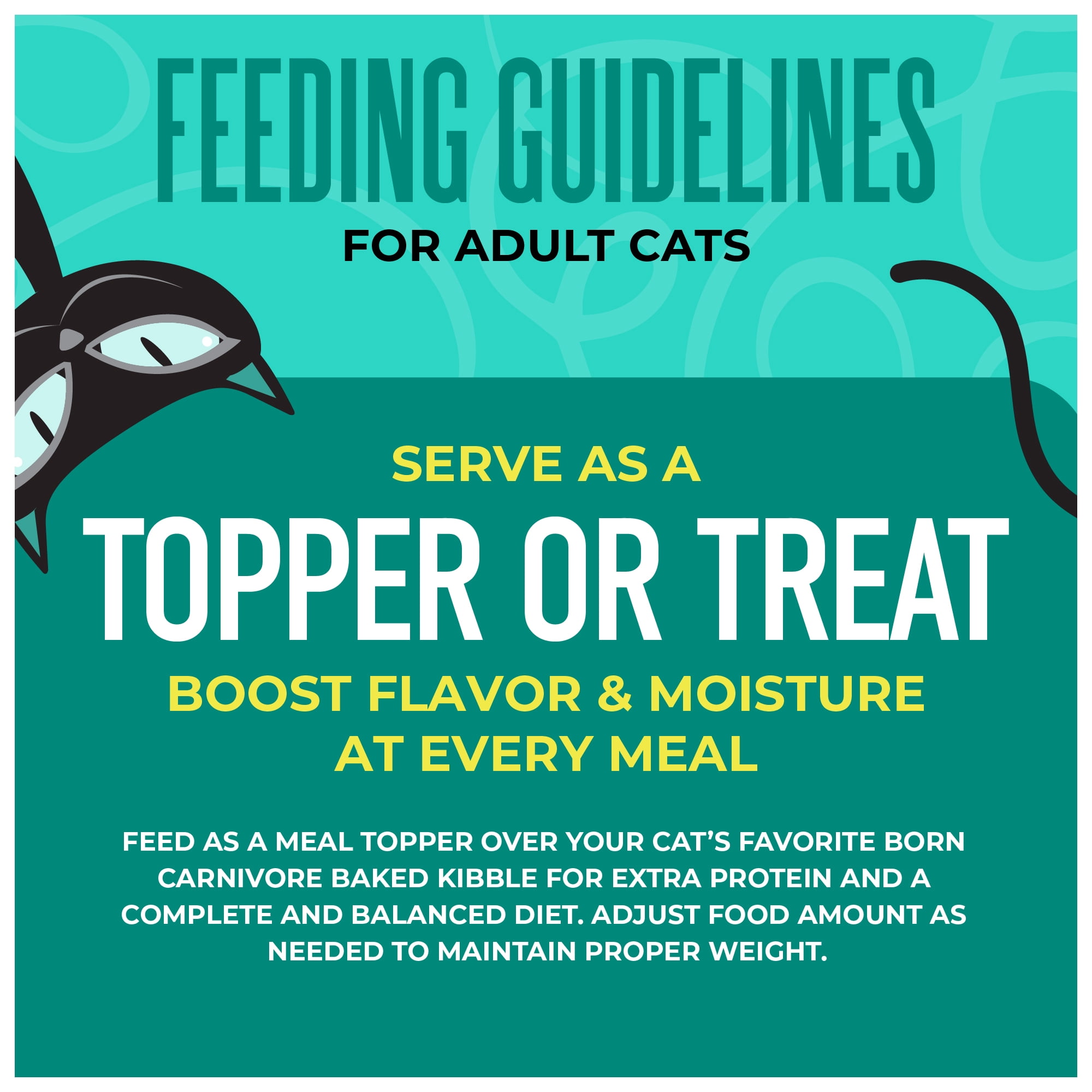 Tiki Cat Born Carnivore Complements Wet Cat Food Topper, Chicken & Salmon 2.1 oz. Pouch