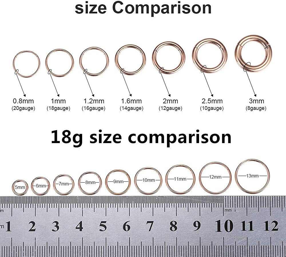 20G 18G 16G 14G Womens and Mens Body Pierecing Ring Segment Clicker Lip Rings Helix Cartilage Rook Earrings Diameter 6mm 8mm 10mm 12mm WBRWP 316L Stainless-Steel Piercing-Ring Hinged Nose-Rings-Hoop 