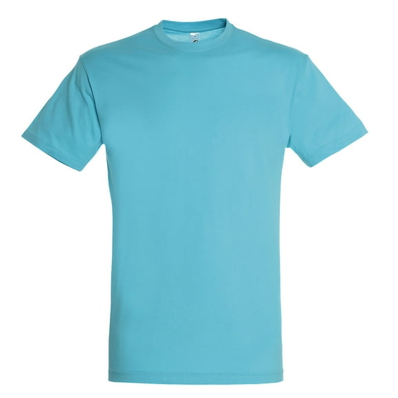 SOLS Mens Regent Short Sleeve T-Shirt