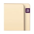 thumbnail image 2 of Yearly End Tab File Folder Labels, 23, 0.5 x 1, Purple, 25/Sheet, 10 Sheets/Pack | Bundle of 2 Packs, 2 of 4