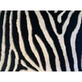 thumbnail image 4 of Zebra Animal Print Black & White Shag Long Pile Area Rug/Carpet by Makymo, 4 of 4