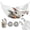 Holding Carrot, variant on Hanging Hammock Portable Travel Camping For Outdooor Beach Camping Hiking Dogs Wearing Different Colored Coats