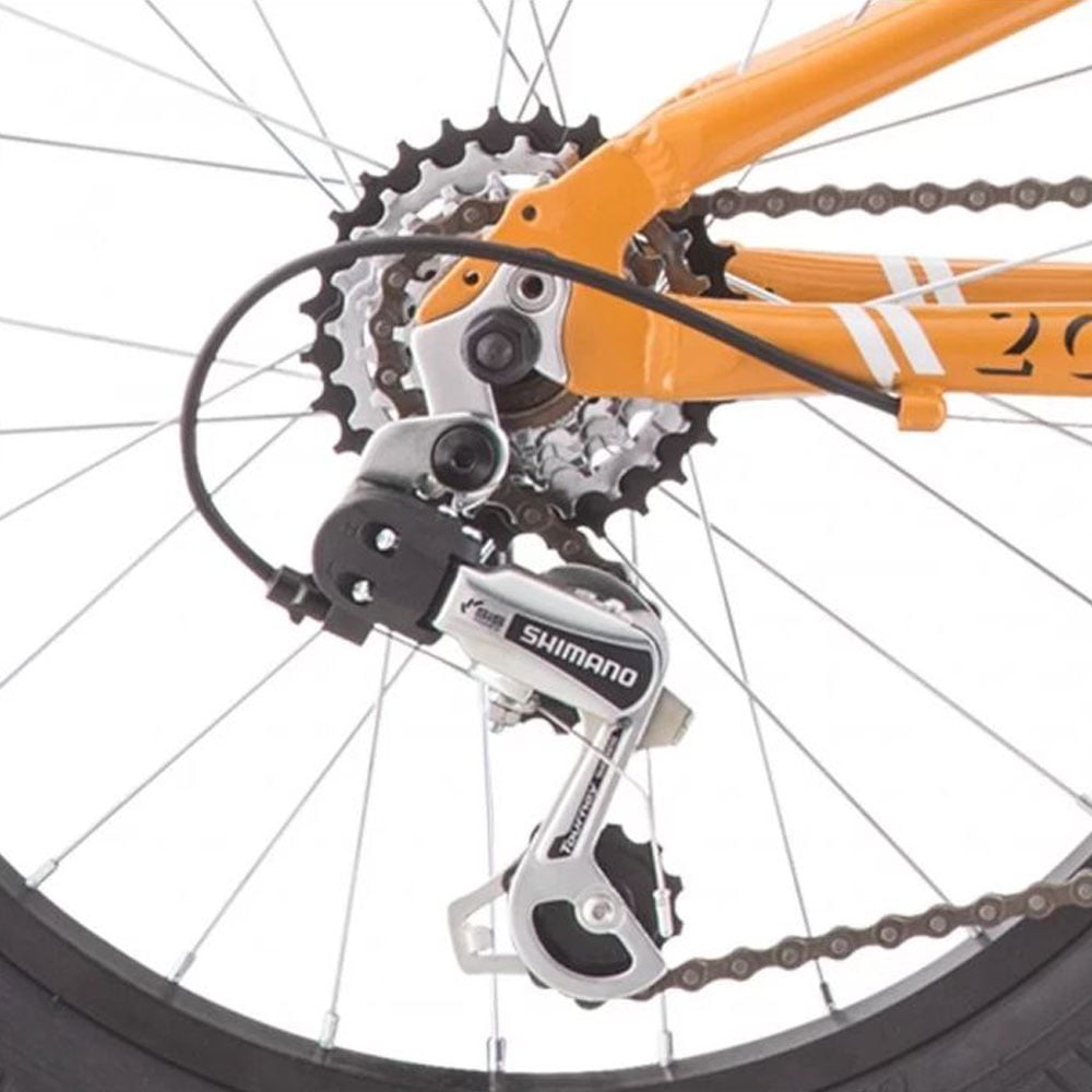 Raleigh Rowdy 20 Youth Mountain Bike Orange Walmart