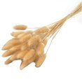 thumbnail image 1 of CAROOTU Fleurs Séchées Colorées Bouquet Éternel Fleurs Réelles pour Décoration Intérieure, 1 of 6