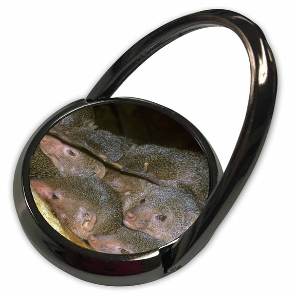 3dRose, Drawf Mongoose, East Africa - NA02 KSC0026 - Kevin Schafer, Phone Ring