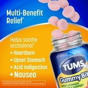 Tums+ Upset Stomach & Nausea Support, Dietary Supplement, Ginger Berry - 45 Count