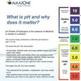 thumbnail image 3 of Alkazone BHL-3700 Antioxidant Water Filter Ionizer, 3 of 3