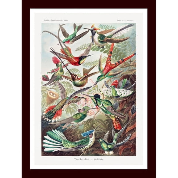 <new_title>Beautiful Birds Painting 43 cm x 28 cm Framed Painting Art Art Prints</new_title>