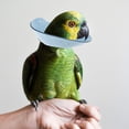 thumbnail image 5 of FENGGUIQU Sky Blue Parrot Cone Collar Bird Anti-Biting Neckwear Safe Durable Bird Accessory, 5 of 5