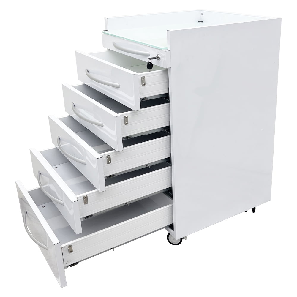 5 Drawers Dental Assistant's Mobile Cabinet Utility File Storage Moving Side Cabinet Stainless Steel with 2 Divider Brackets