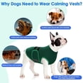 thumbnail image 6 of Dog Anxiety Relief Coat,Comfort Anxiety Vest for Dogs,Adjustable Dog Anxiety Calming Wrap for Fireworks,Thunderstorm,Travel,Separation,Anxiety Jacket for Small Dogs, 6 of 8