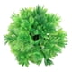 thumbnail image 1 of Grasa De Acuario, Caja De Color Fish Bola De Hierba De Plástico Plantas De Acuario Beta Accesorios Accesorios Artificiales Bola De Hierba De Acuario Para Acuario, 1 of 7