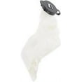 thumbnail image 3 of ACDelco Genuine GM Expansion Tank, 3 of 4