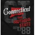 thumbnail image 2 of Connecticut Nutmeg State Since 1788 Womens Slim Fit Graphic Tee Brisco Brands S, 2 of 3