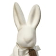 thumbnail image 4 of Lapin blanc floqué assis, 17po, par « Way to Celebrate », 4 of 6
