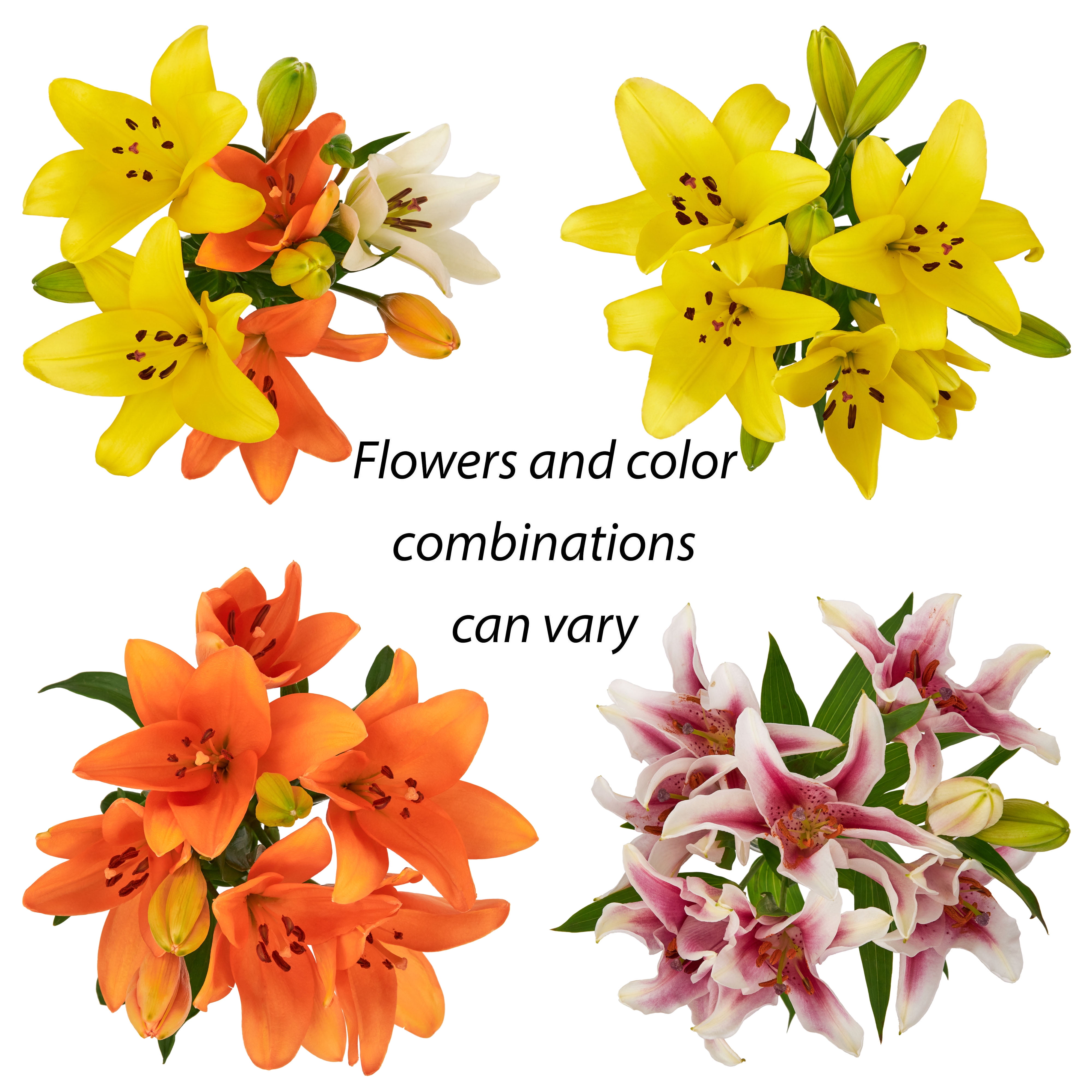 Fresh-Cut Lilies Flower Bunch, 3 Stems, Colors Vary