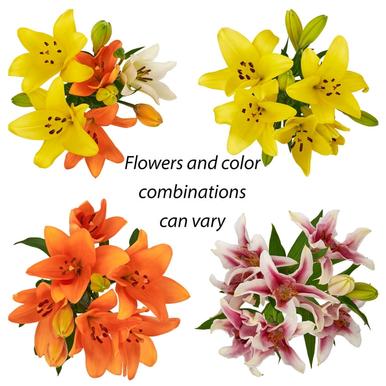 LA Lilies Flower Bunch Small, Colors May Vary - Walmart.com