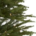 thumbnail image 3 of National Tree Company Montgomery 6' Clair Coin Éclairé Arbre de Noël, 3 of 8