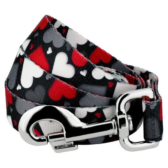 Country Brook Petz® 5/8 inch Be Mine Dog Leash, 6 Foot