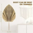 thumbnail image 3 of 5Pcs Natural Dried Palm Leaves Tropical Dried Palm Fans Boho Dry Leaves Decor for Home Kitchen Wedding, 3 of 8