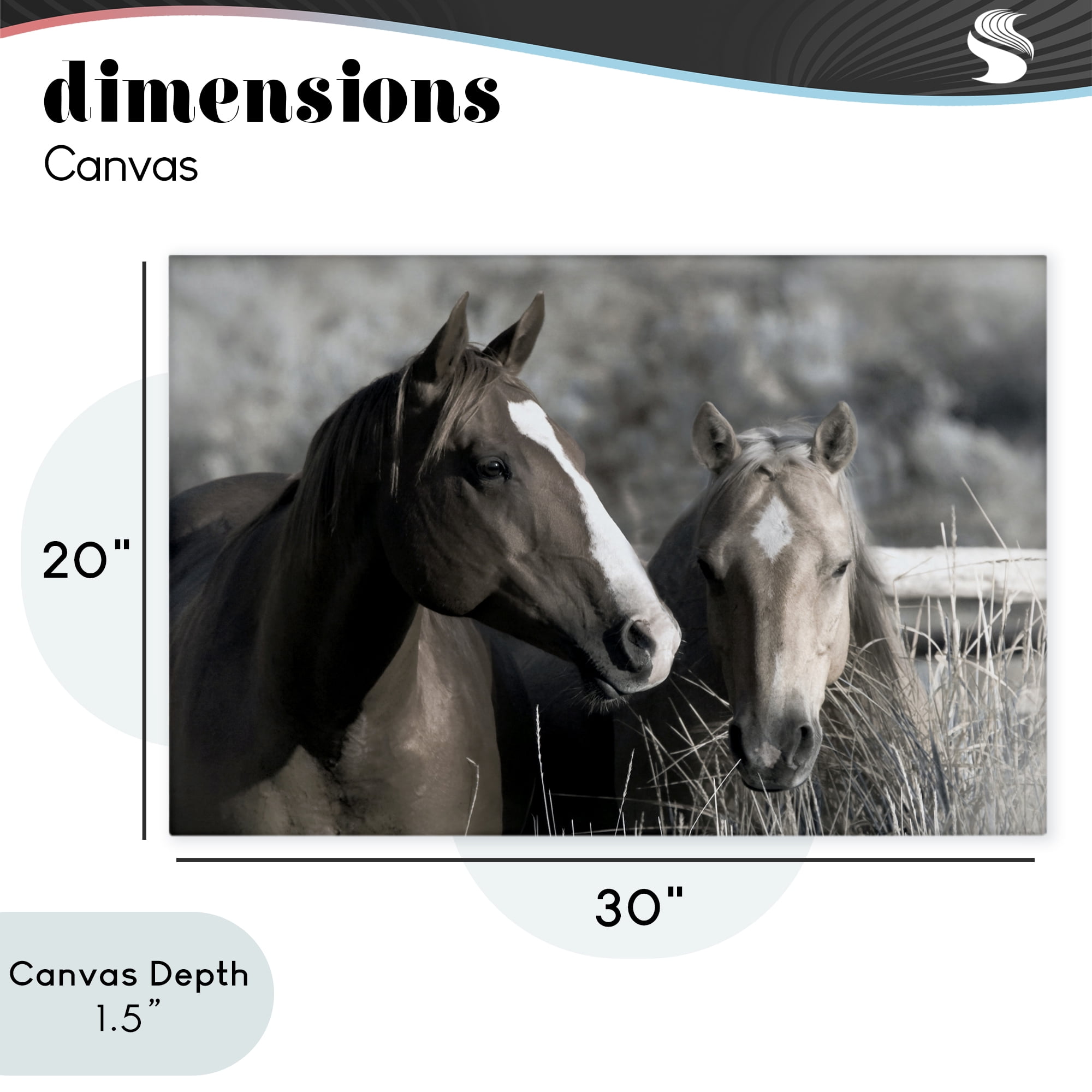 Stupell Industries Content Horses In Pasture Canvas Wall Art, design by Danita Delimont