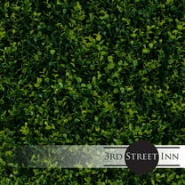 3rd Street Inn Artificial Plant Greenery Panel - Golden Boxwood - 12 Pack