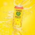 thumbnail image 5 of Guayakí Yerba Mate, Organic Energy Drink Alternative, Peach Revival, Low Sugar, 150mg Natural Plant Based Caffeine, Smooth Energy & Focus, No Jitters or Crash, 15.5 Oz (Pack of 12), 5 of 5