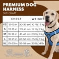 thumbnail image 2 of Murphy & Roxy No-Pull Dog Harness – Adjustable Vest Harness with Reflective Trim for Small to Medium Dog Breeds – Heavy-Duty and Comfortable for Walking, Training for Pets, Blue (Size M), 2 of 6