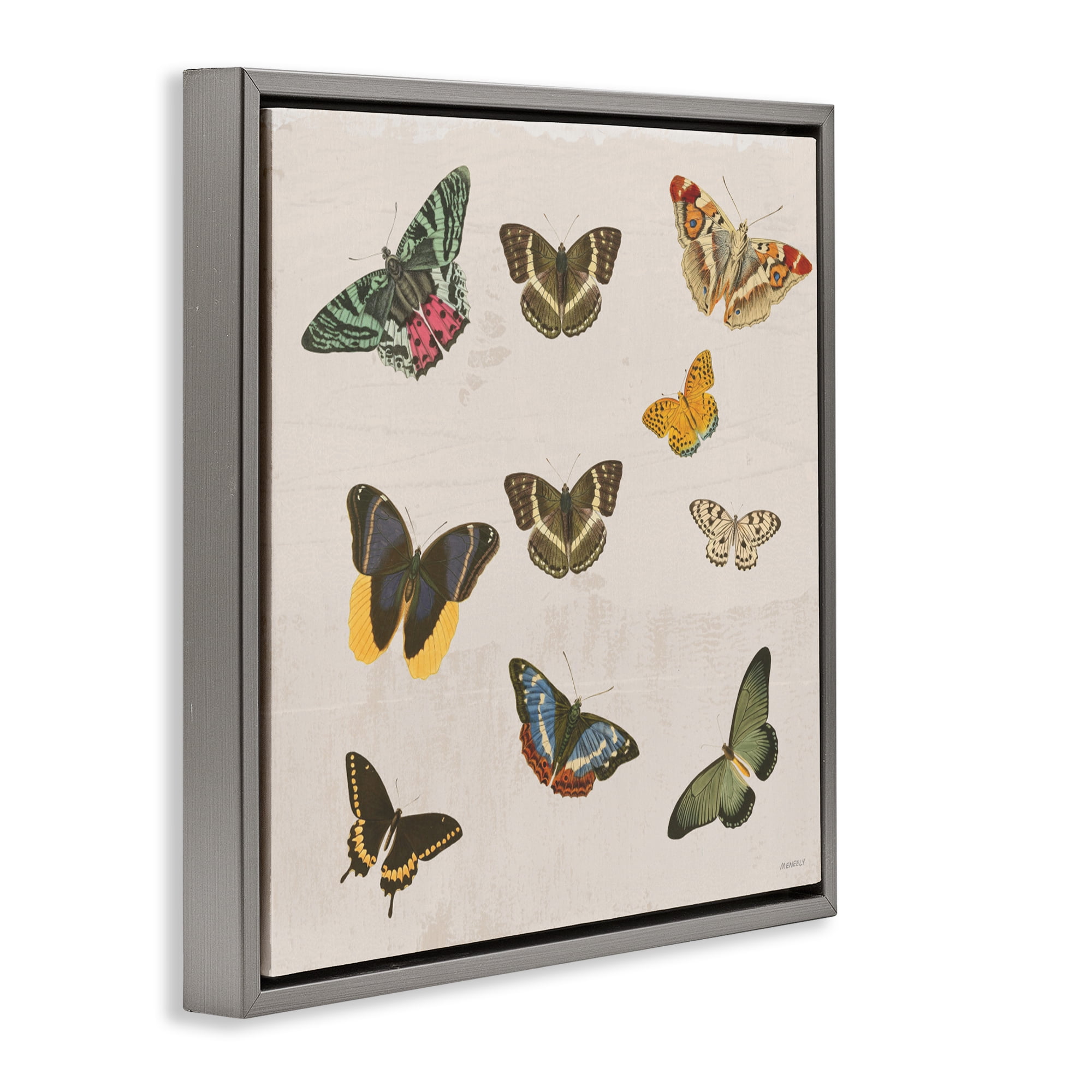 Stupell Industries Antique Butterfly Flight Gray Framed Floater Canvas Wall Art, design by Dan Meneely