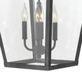 thumbnail image 6 of Hinkley Lighting 1428-Ll Trellis 4 Light 16" Wide Outdoor Pendant - Bronze, 6 of 7