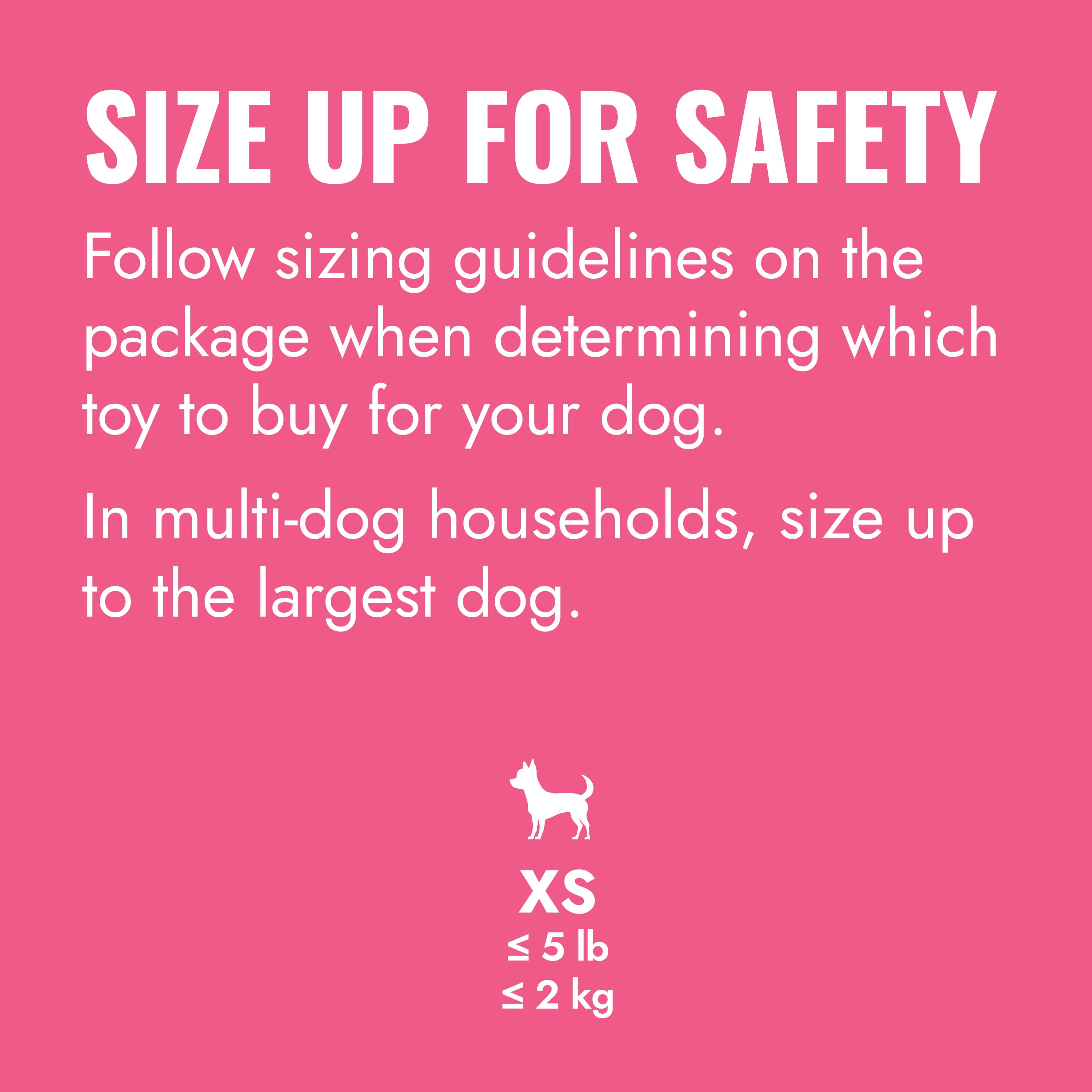 KONG® Puppy Goodie Bone for Beginner Chewers, Pink, Extra Small for Dogs up to 5 lbs