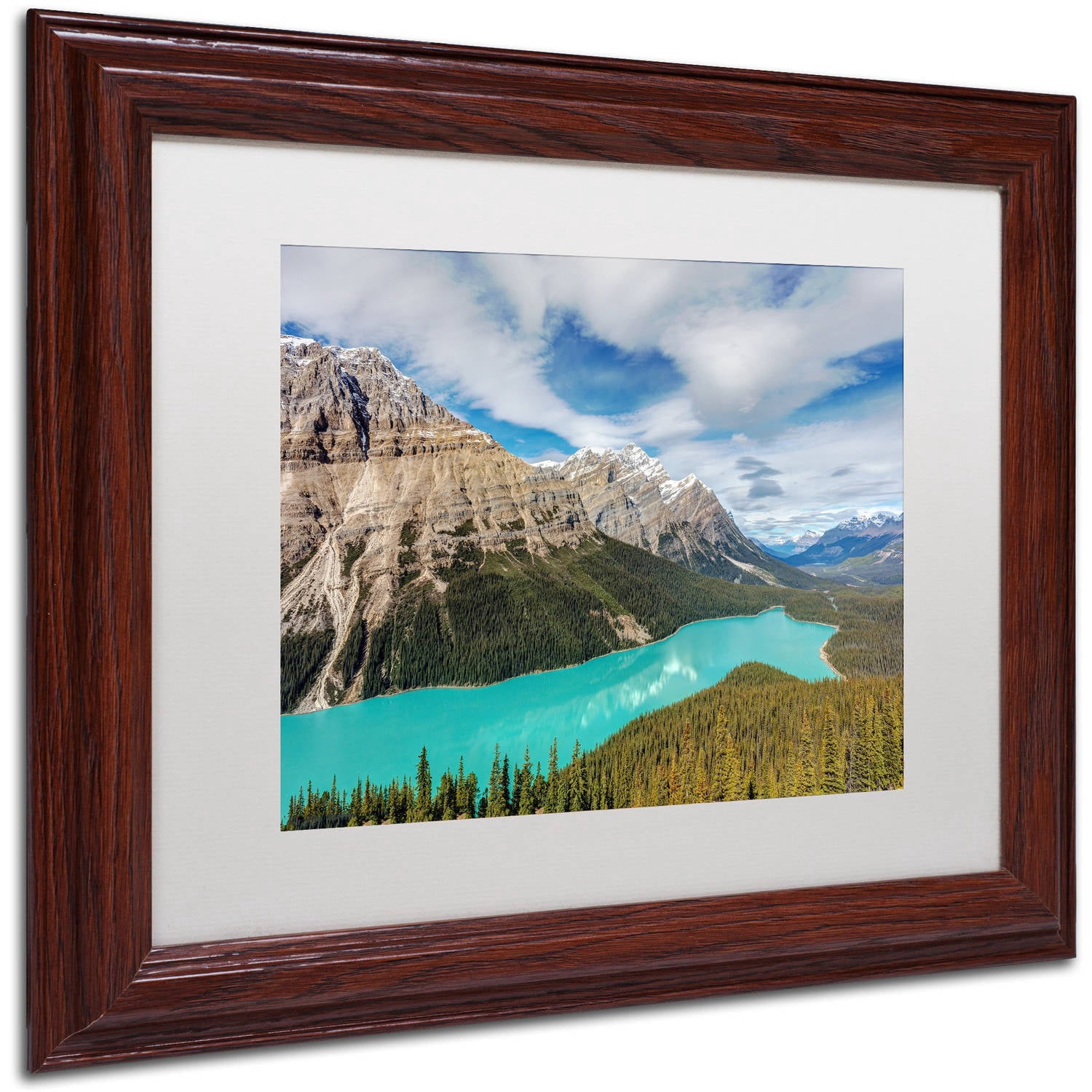 Trademark Fine Art 'Peyto Lake' Canvas Art by Pierre Leclerc, White Matte, Wood Frame