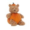 Small Pumpkin Bear