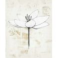 thumbnail image 2 of Tillmon, Avery 20x24 Black Ornate Wood Framed with Double Matting Museum Art Print Titled - Pencil Floral I Gold, 2 of 4