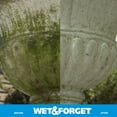 thumbnail image 5 of Wet & Forget Outdoor Moss, Mold, Mildew, and Algae Stain Remover Spray, 64 oz, 5 of 7